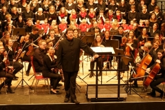 SoC_2020_Beethoven_Feurer_1