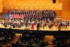 Der Solitude-Chor Stuttgart