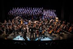 Der Solitude-Chor Stuttgart