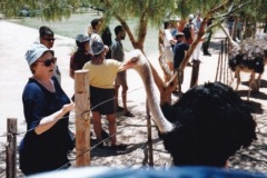 SoC_Suedafrika_Sonja_10