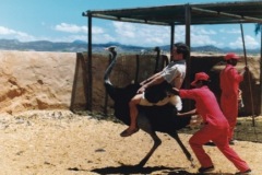 SoC_Suedafrika_Sonja_11