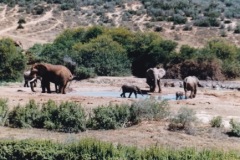 SoC_Suedafrika_Sonja_15