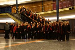 2015_SoC_DeNardi_Tango_4